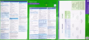 (11) english at a glance - các thì trong tiếng anh - Ảnh 3