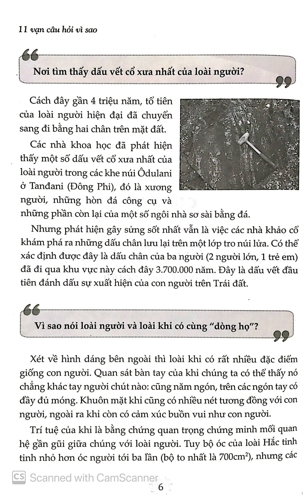 11 vạn câu hỏi vì sao (tái bản 2021) - Ảnh 4