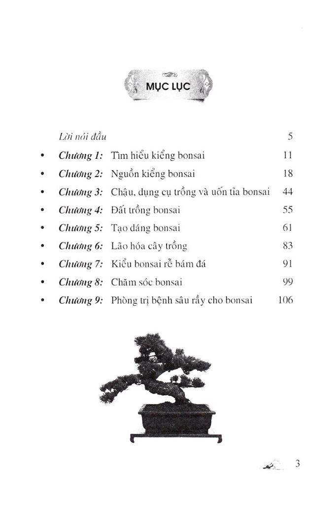 110 câu hỏi đáp chăm sóc và tạo dáng bonsai (tái bản 2024) - Ảnh 2