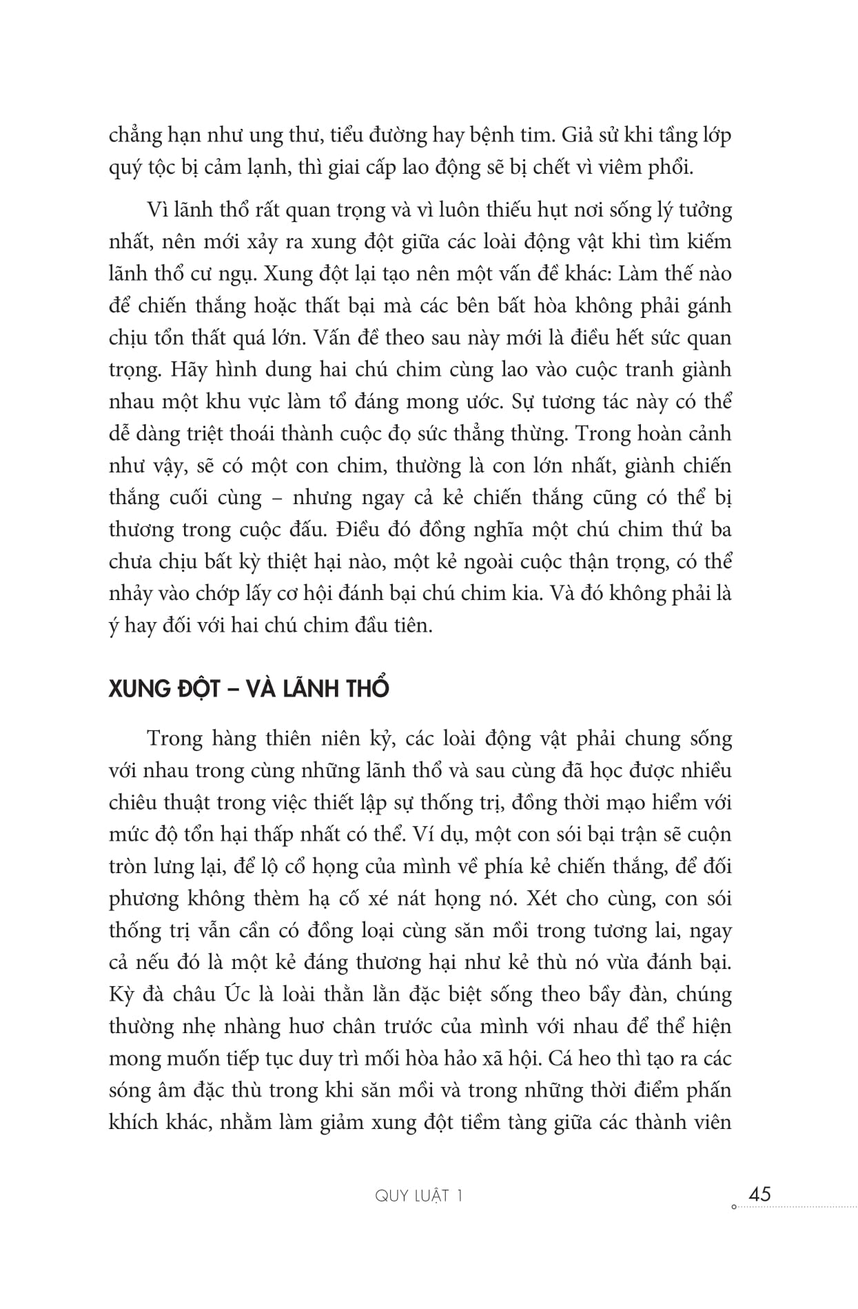 12 quy luật cuộc đời: thần dược cho cuộc sống hiện đại - Ảnh 10