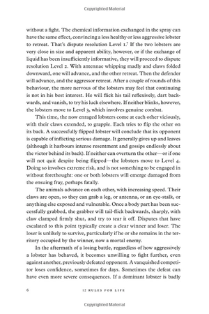 12 rules for life: an antidote to chaos - Ảnh 10