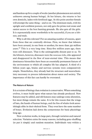 12 rules for life: an antidote to chaos - Ảnh 13