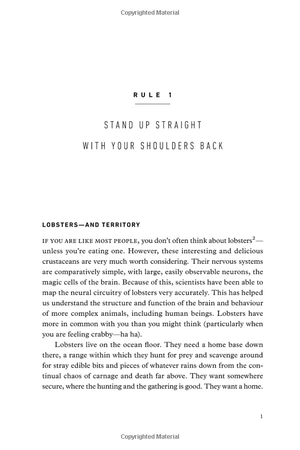 12 rules for life: an antidote to chaos - Ảnh 5