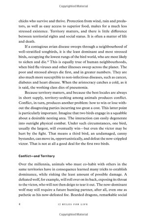 12 rules for life: an antidote to chaos - Ảnh 8