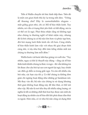 14 ngày đẫm máu - Ảnh 7