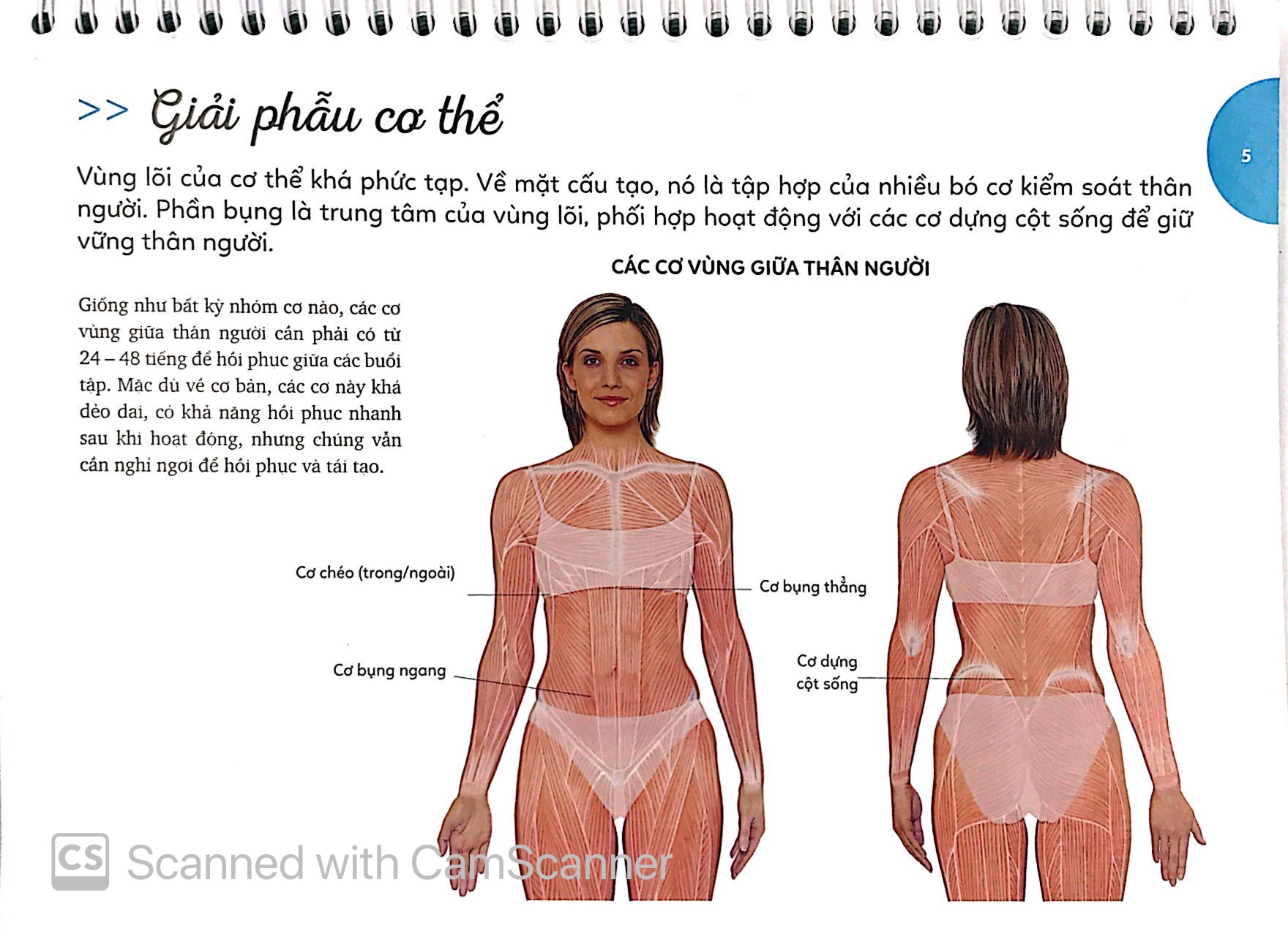 15 phút tập bụng (kèm 1 dvd) - Ảnh 5