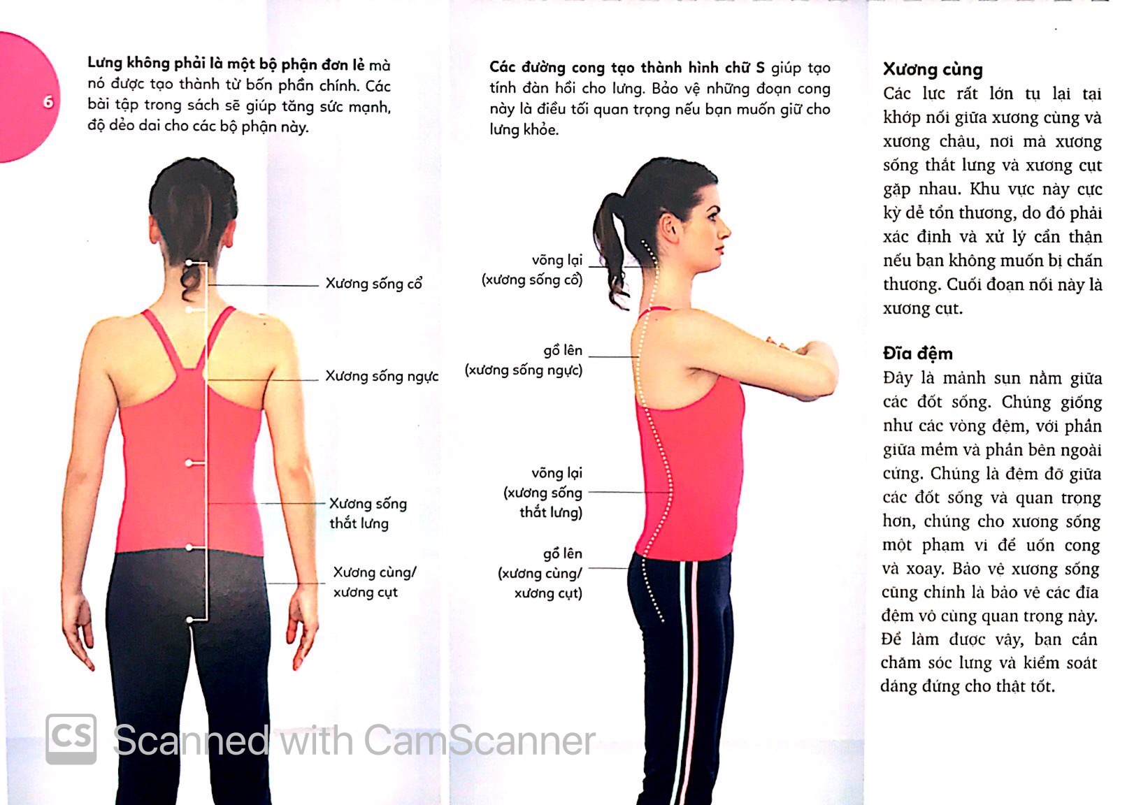 15 phút tập lưng - 15 minute better back workout (kèm dvd) - Ảnh 5