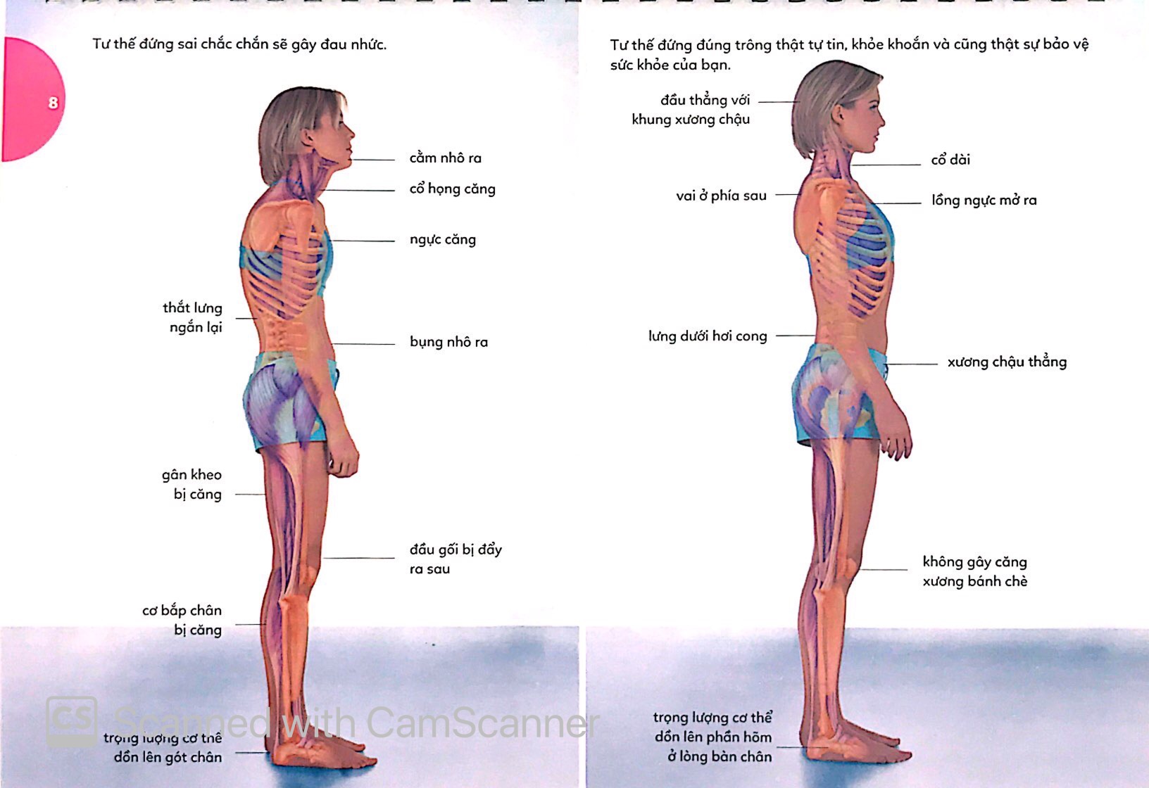 15 phút tập lưng - 15 minute better back workout (kèm dvd) - Ảnh 7