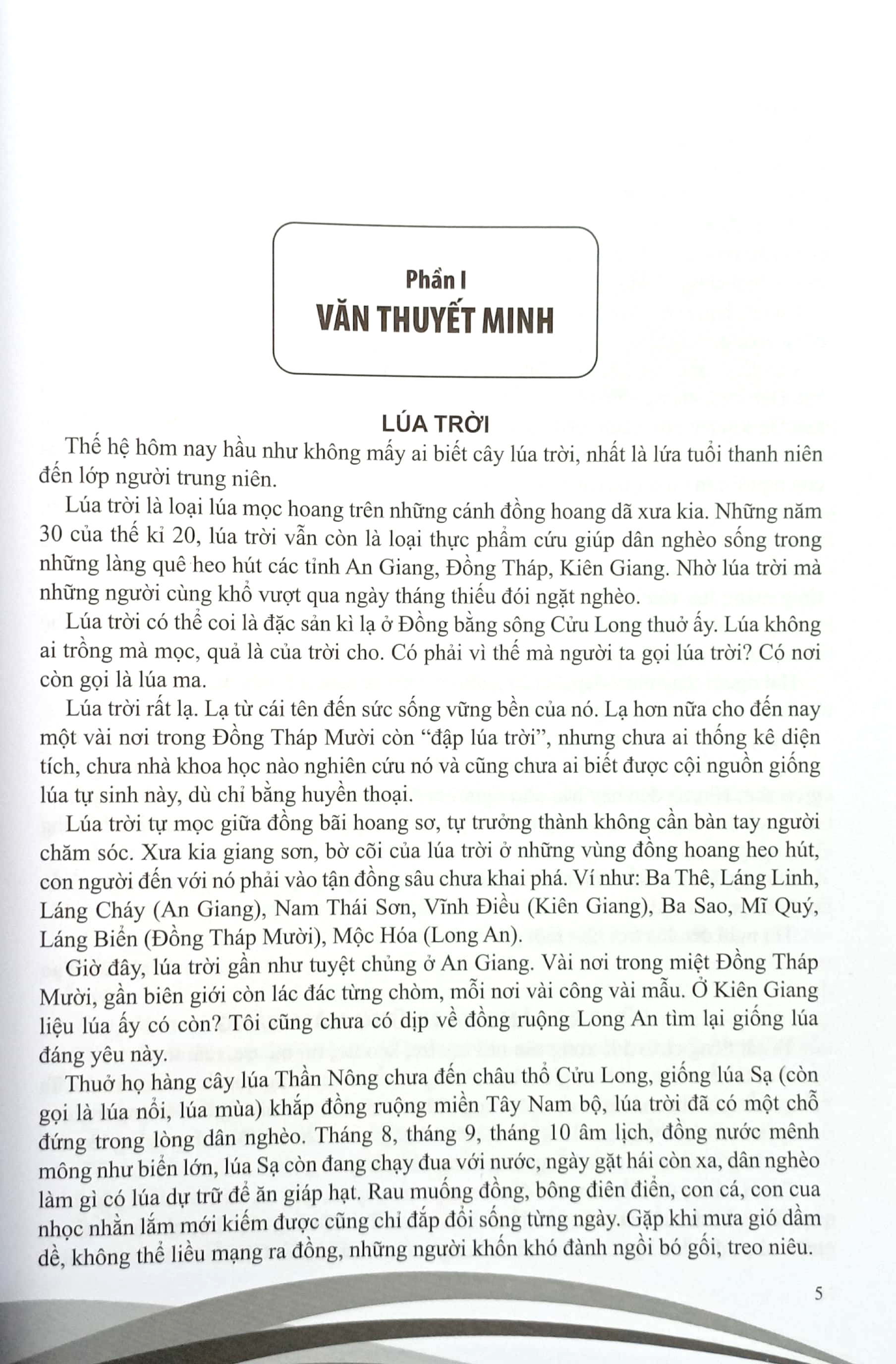 150 bài văn hay 9 - Ảnh 5