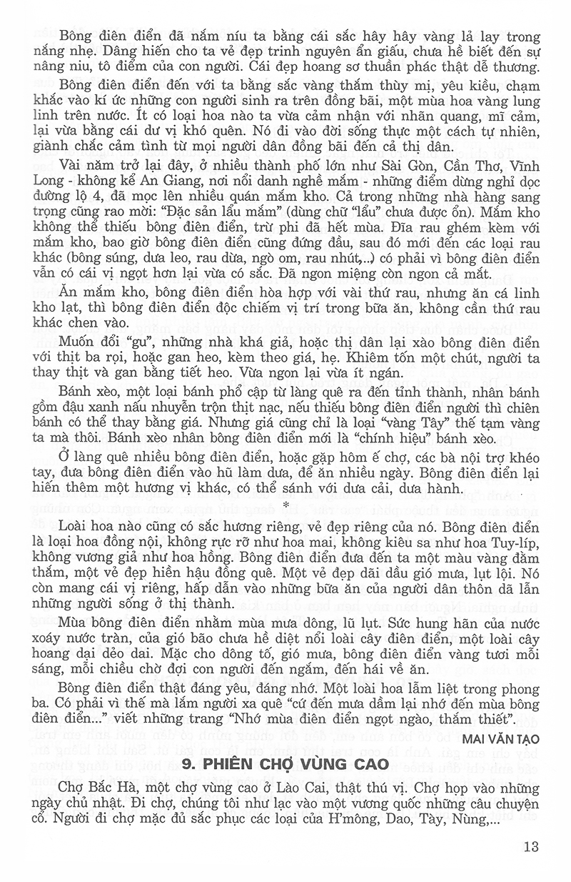 171 bài và đoạn văn hay 9 - Ảnh 10