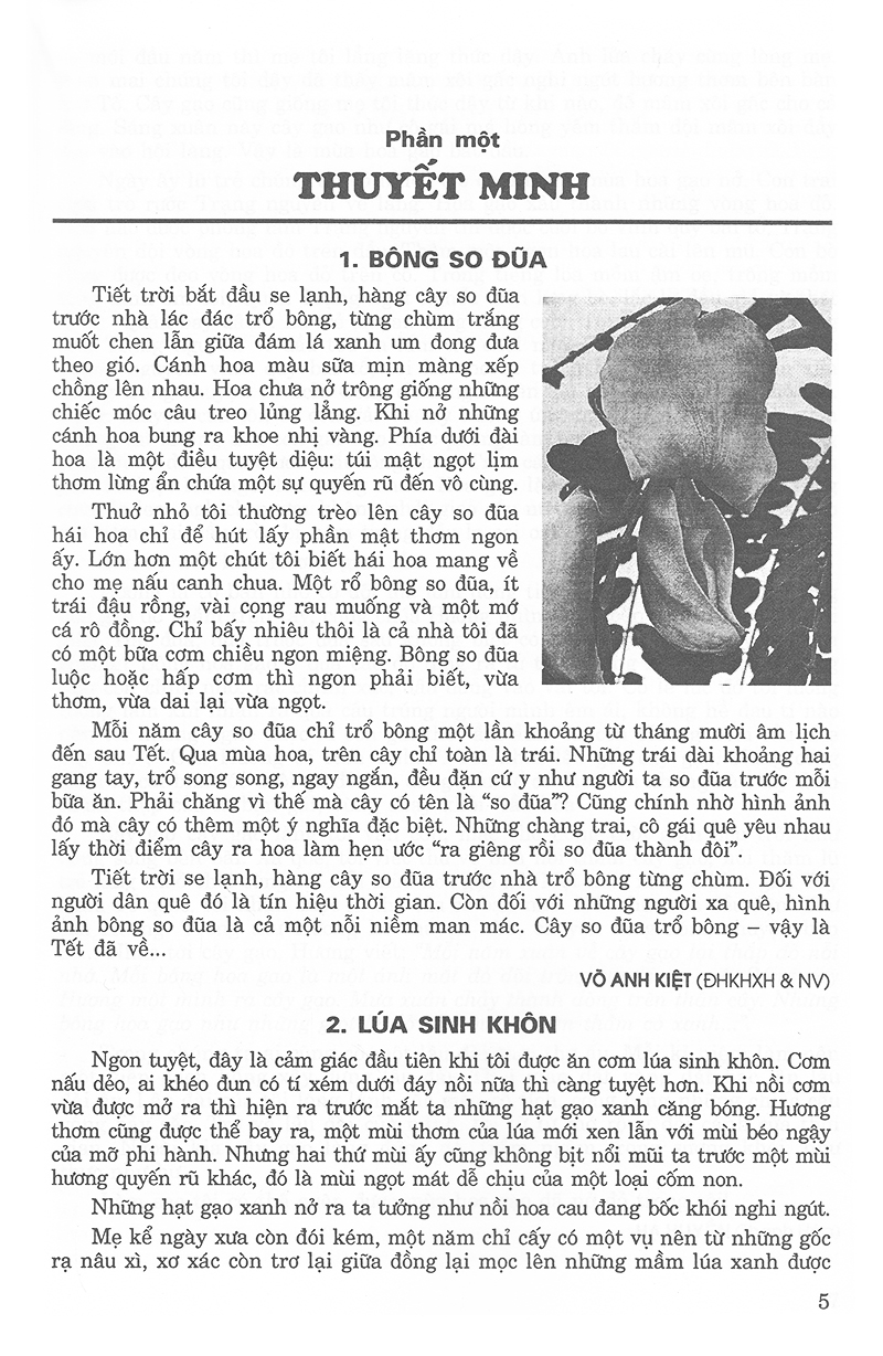 171 bài và đoạn văn hay 9 - Ảnh 3