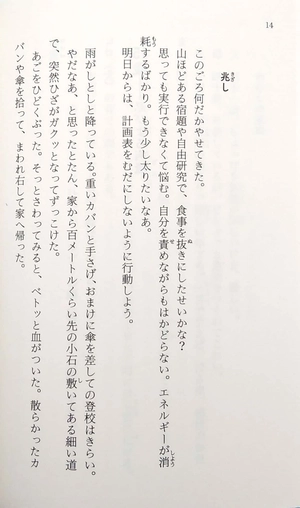 1リットルの涙難病と闘い続ける少女亜也の日記 (幻冬舎文庫) 1 rittoru no namida nanbyou to tatakaitsuzukeru shoujo a 也 - Ảnh 4