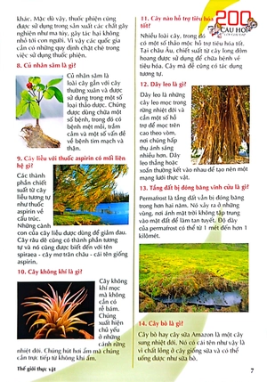 200 câu hỏi & lời giải đáp - thế giới khoa học - Ảnh 8