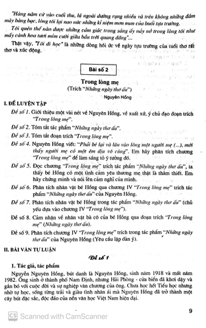 207 đề và bài văn 8 - Ảnh 9