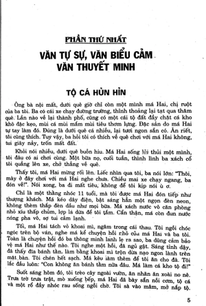 207 đề và bài văn hay 10 - Ảnh 2