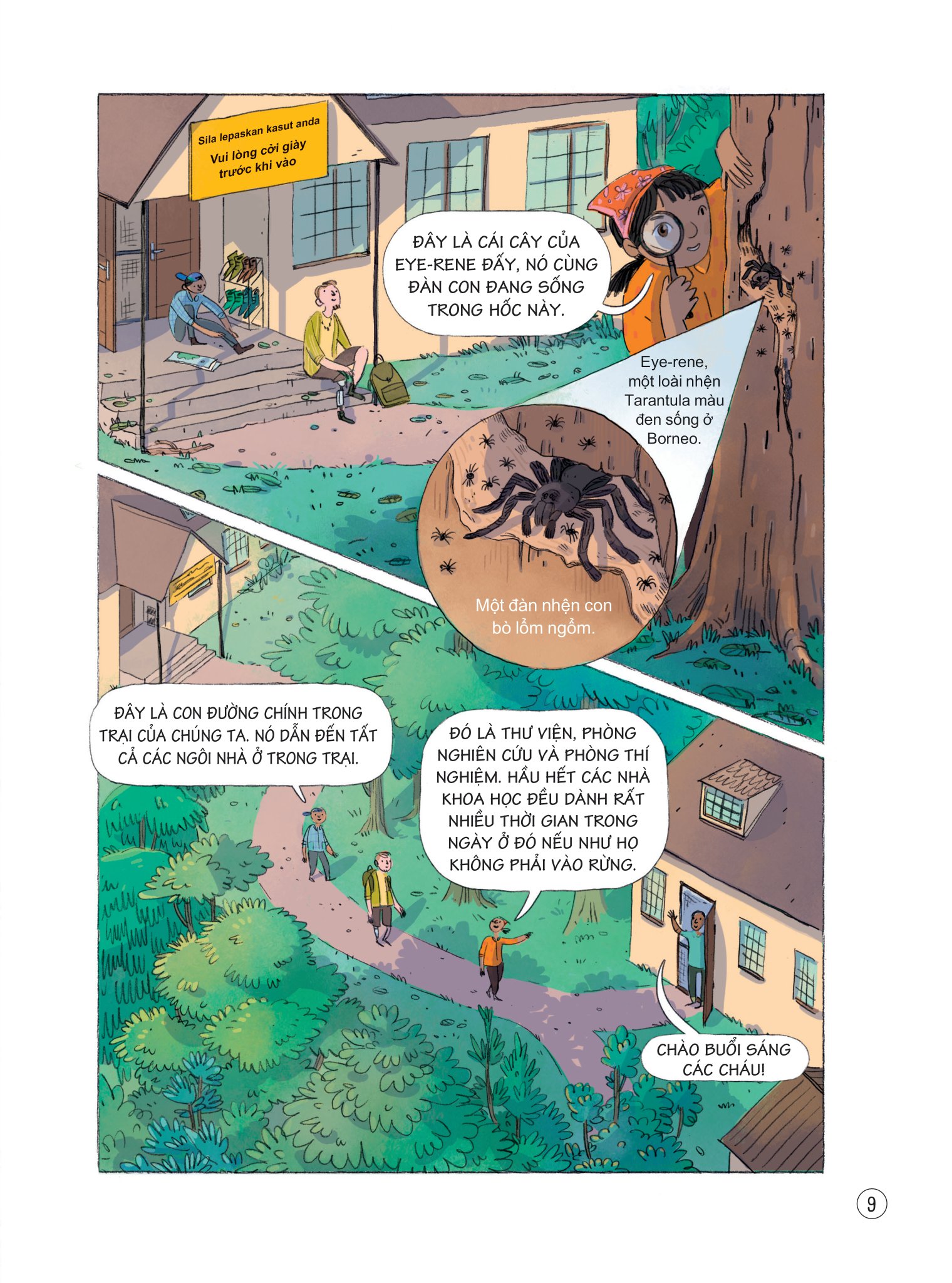 24 giờ trong rừng nhiệt đới - Ảnh 11