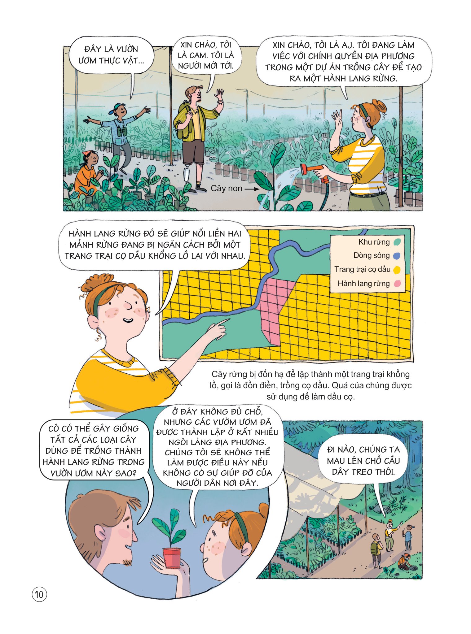 24 giờ trong rừng nhiệt đới - Ảnh 3