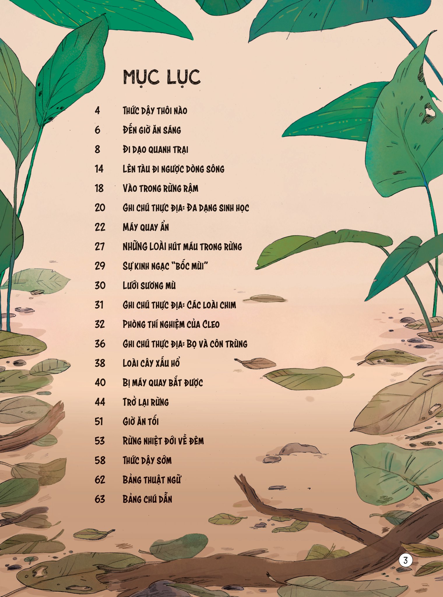 24 giờ trong rừng nhiệt đới - Ảnh 5