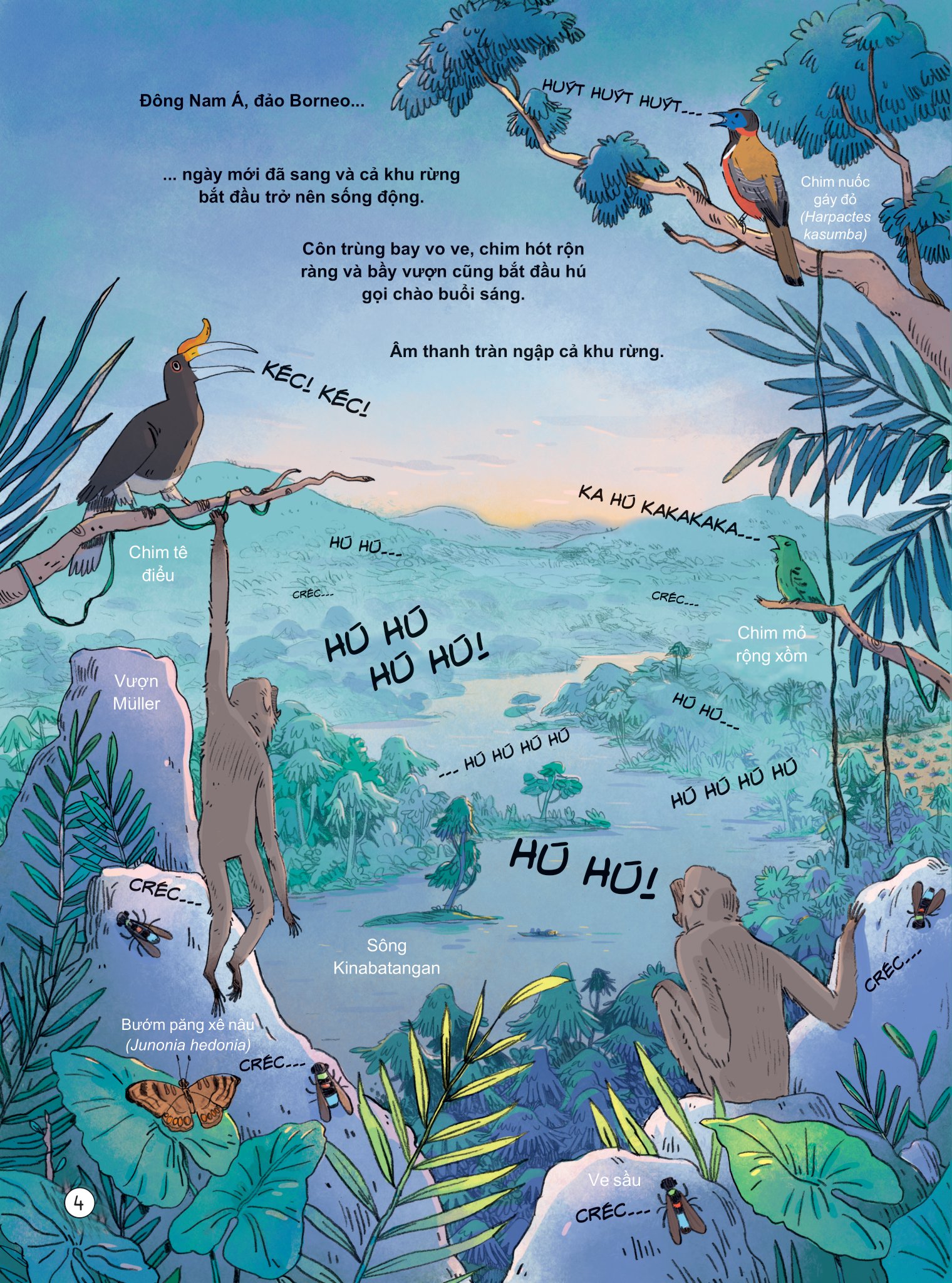 24 giờ trong rừng nhiệt đới - Ảnh 6