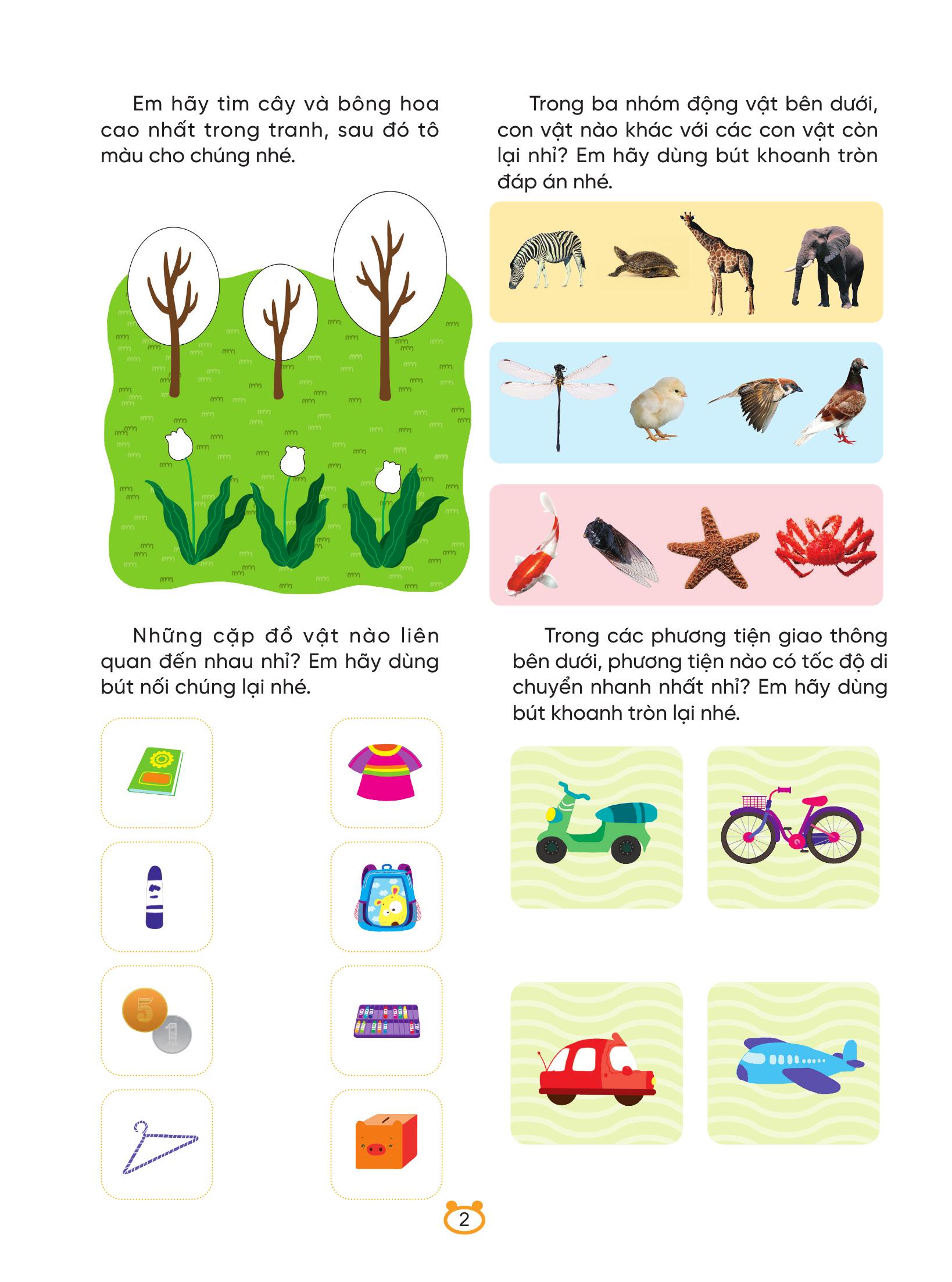 250++ Câu Đố Phát Triển Trí Não Toàn Diện - Rèn Luyện Khả Năng Quan Sát Cơ Bản - Ảnh 3