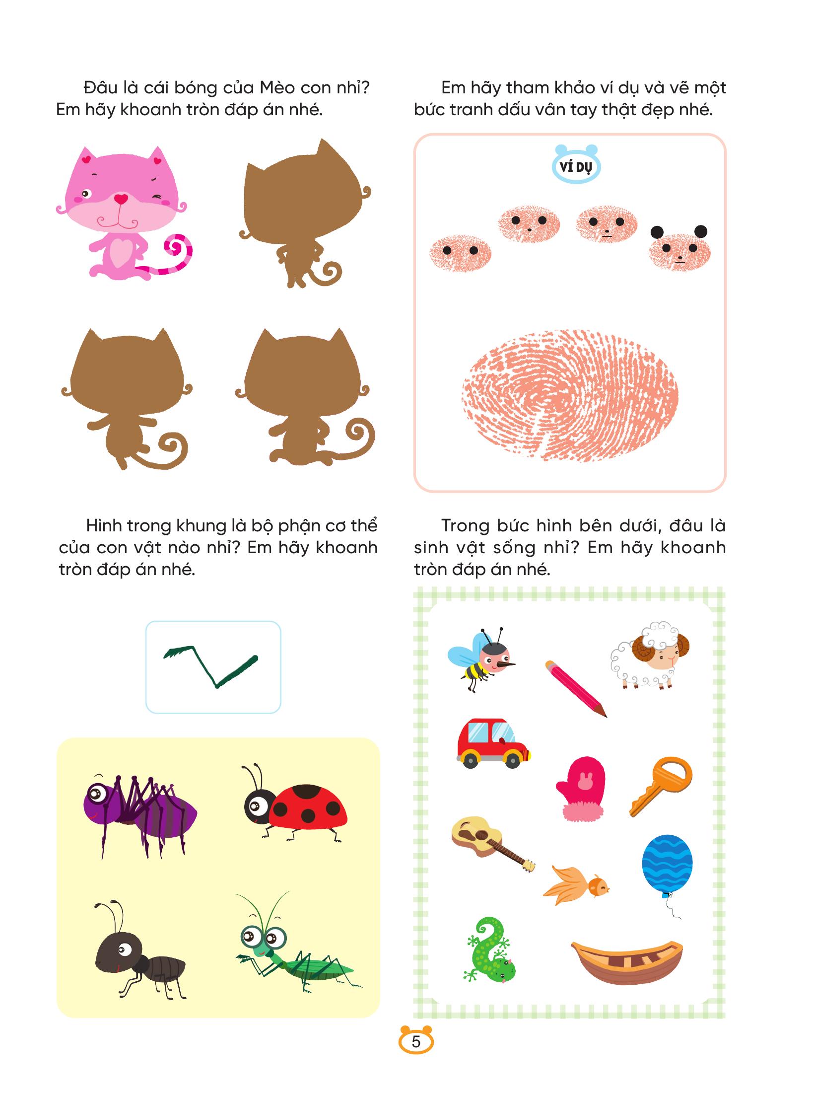 250++ Câu Đố Phát Triển Trí Não Toàn Diện - Rèn Luyện Tư Duy Toán Học Cơ Bản - Ảnh 6