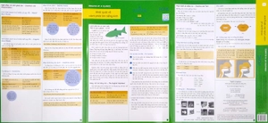 (3) english at a glance - khái quát về cách phát âm tiếng anh - Ảnh 3