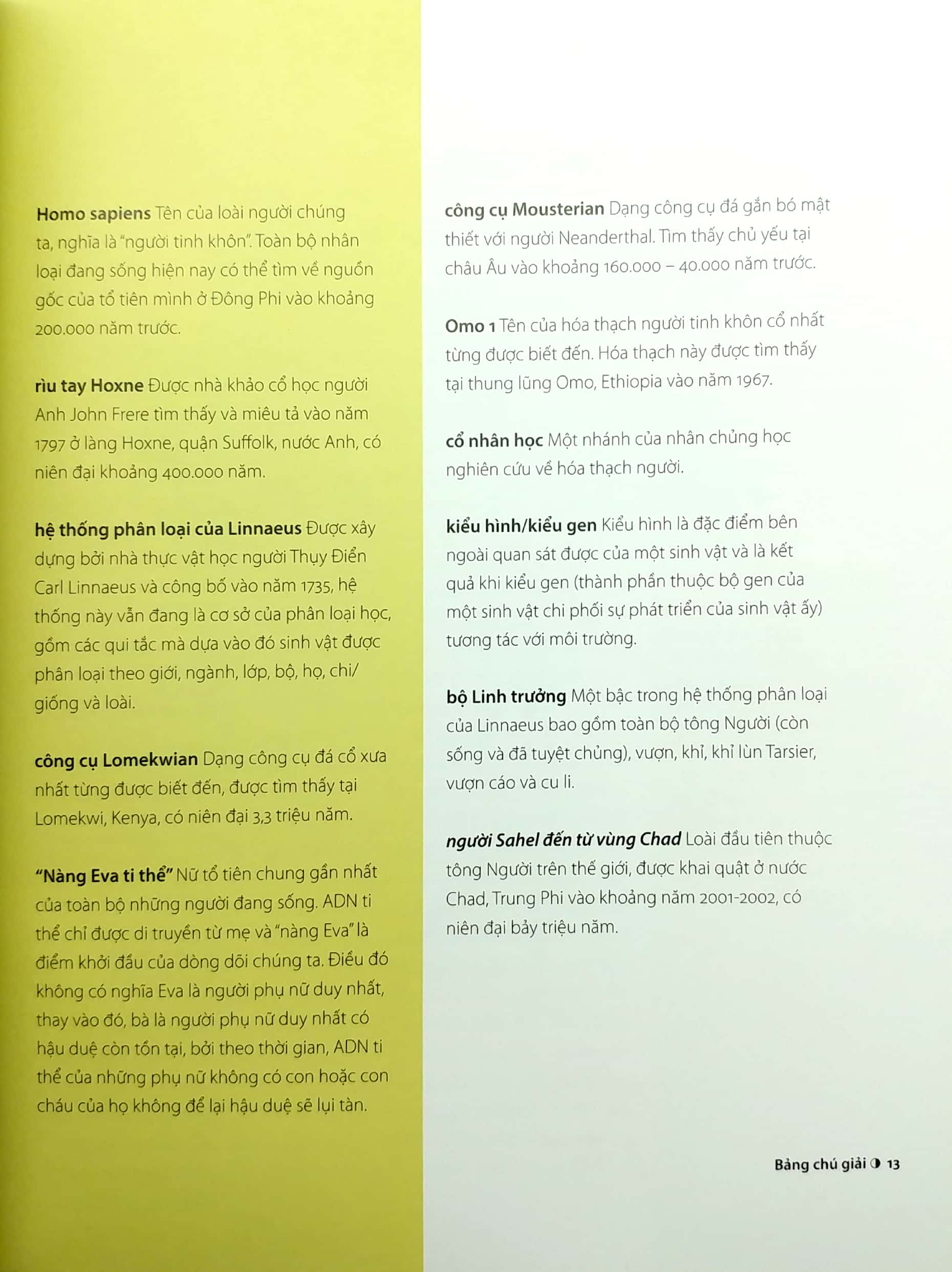 30 giây nhân chủng học - Ảnh 6