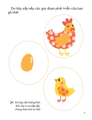 30++ hoạt động rèn luyện kỹ năng tư duy cho trẻ - sắp xếp theo thứ tự - Ảnh 4