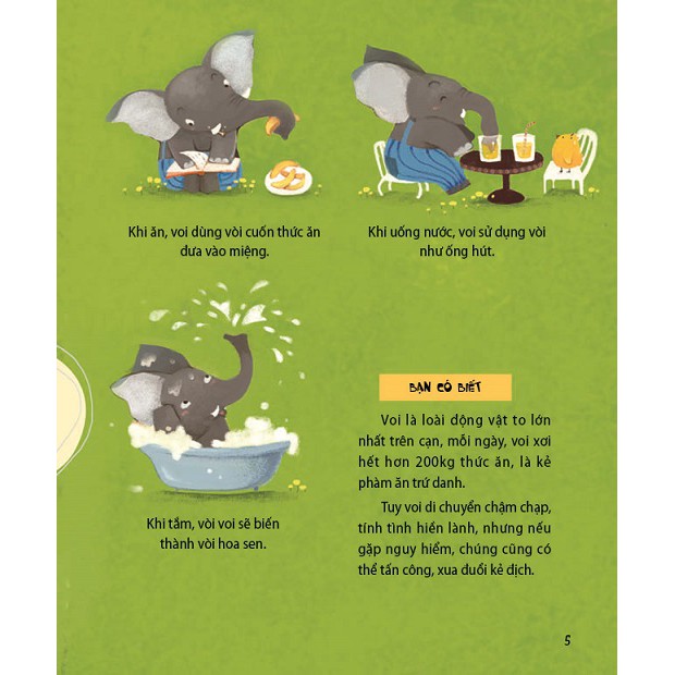 300 câu hỏi khoa học vui - động vật: tại sao chim công thích múa? - Ảnh 4