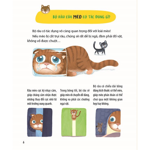 300 câu hỏi khoa học vui - động vật: tại sao chim công thích múa? - Ảnh 5