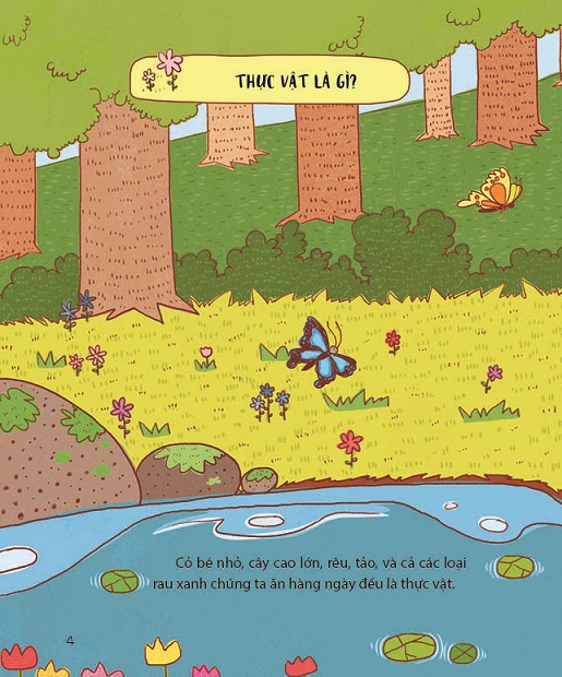 300 câu hỏi khoa học vui - thực vật: đừng tưởng cây cối không biết gì - Ảnh 4