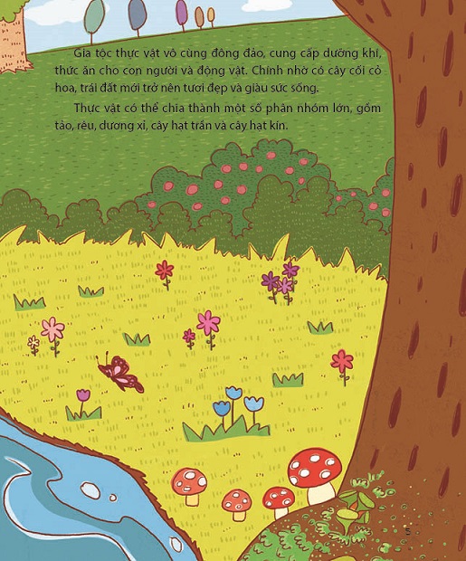 300 câu hỏi khoa học vui - thực vật: đừng tưởng cây cối không biết gì - Ảnh 5