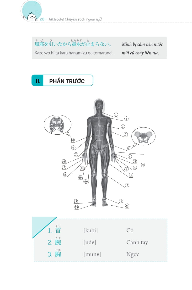 3000 từ vựng tiếng nhật theo chủ đề - Ảnh 12