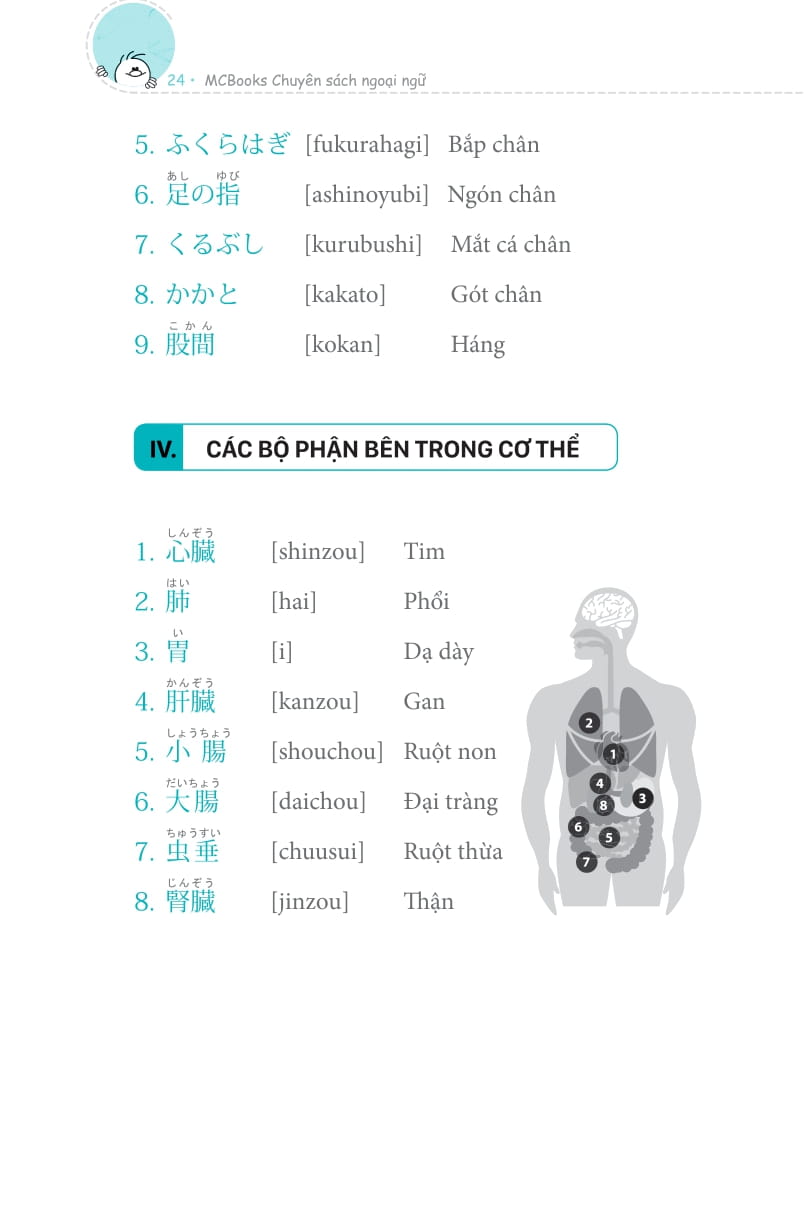 3000 từ vựng tiếng nhật theo chủ đề - Ảnh 16
