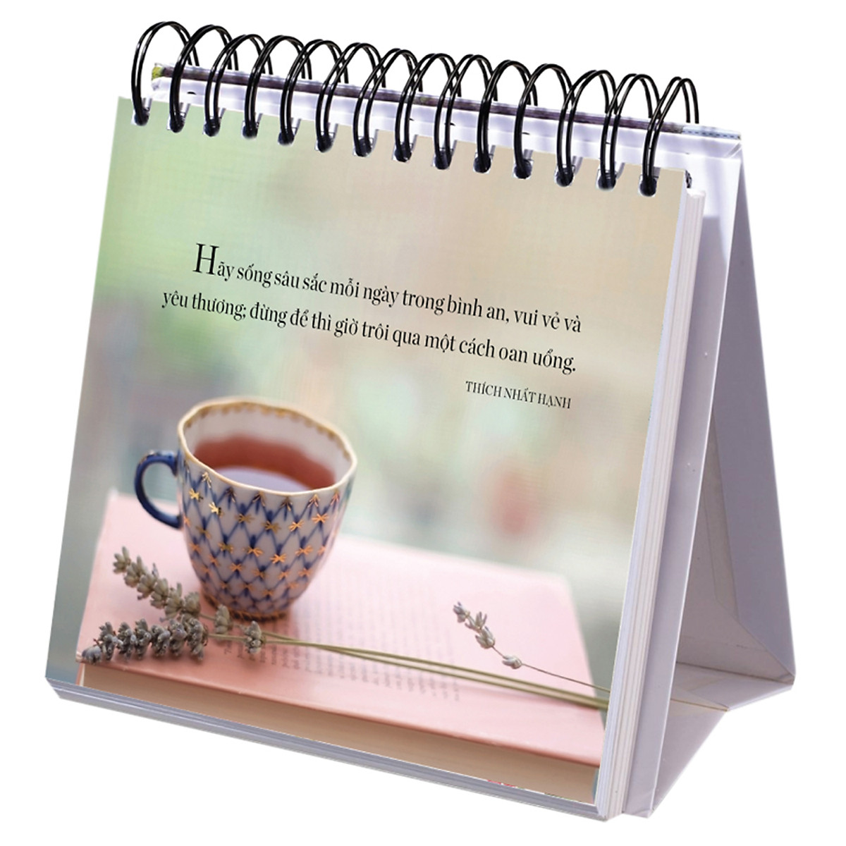 365 ngày an lạc - Ảnh 3