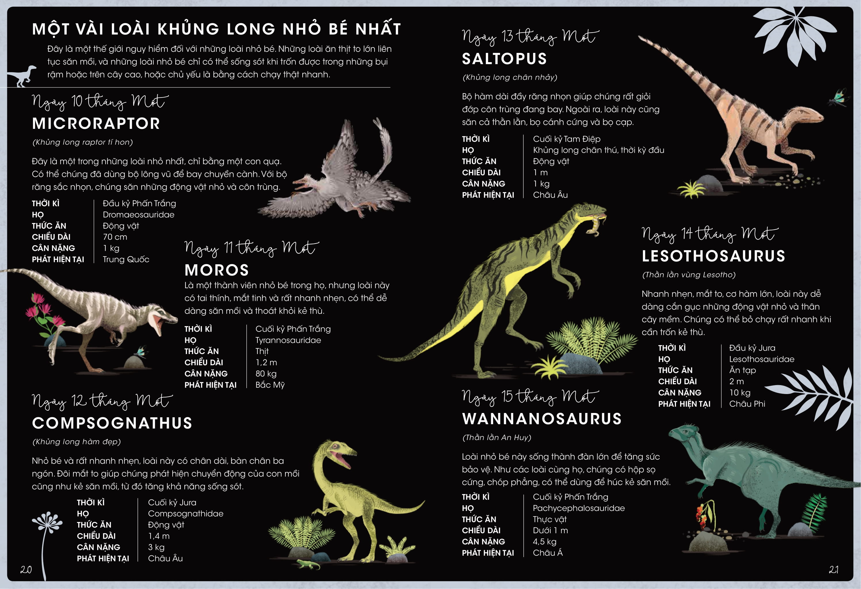 365 ngày khủng long - Ảnh 11