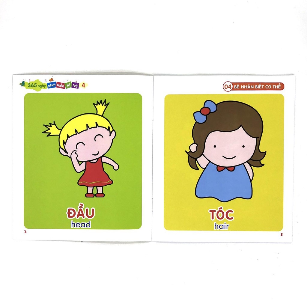 365 ngày phát triển trí tuệ - bộ 4 (8 cuốn/ túi) - Ảnh 8