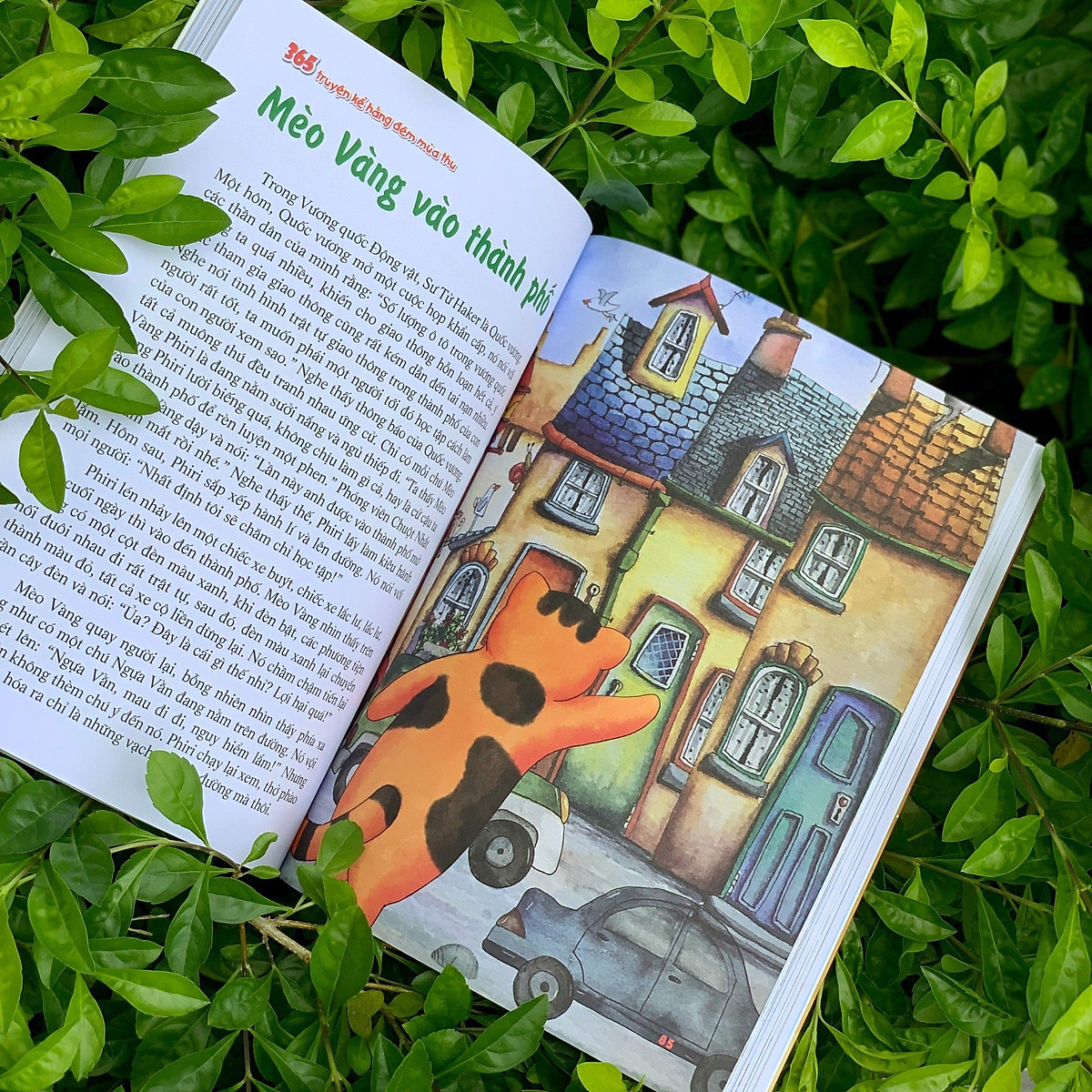 365 truyện kể hằng đêm - mùa thu (2022) - Ảnh 5