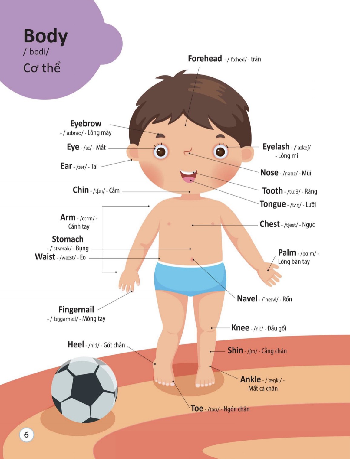 4000 từ vựng và mẫu câu tiếng anh thiết yếu cho trẻ em - Ảnh 6