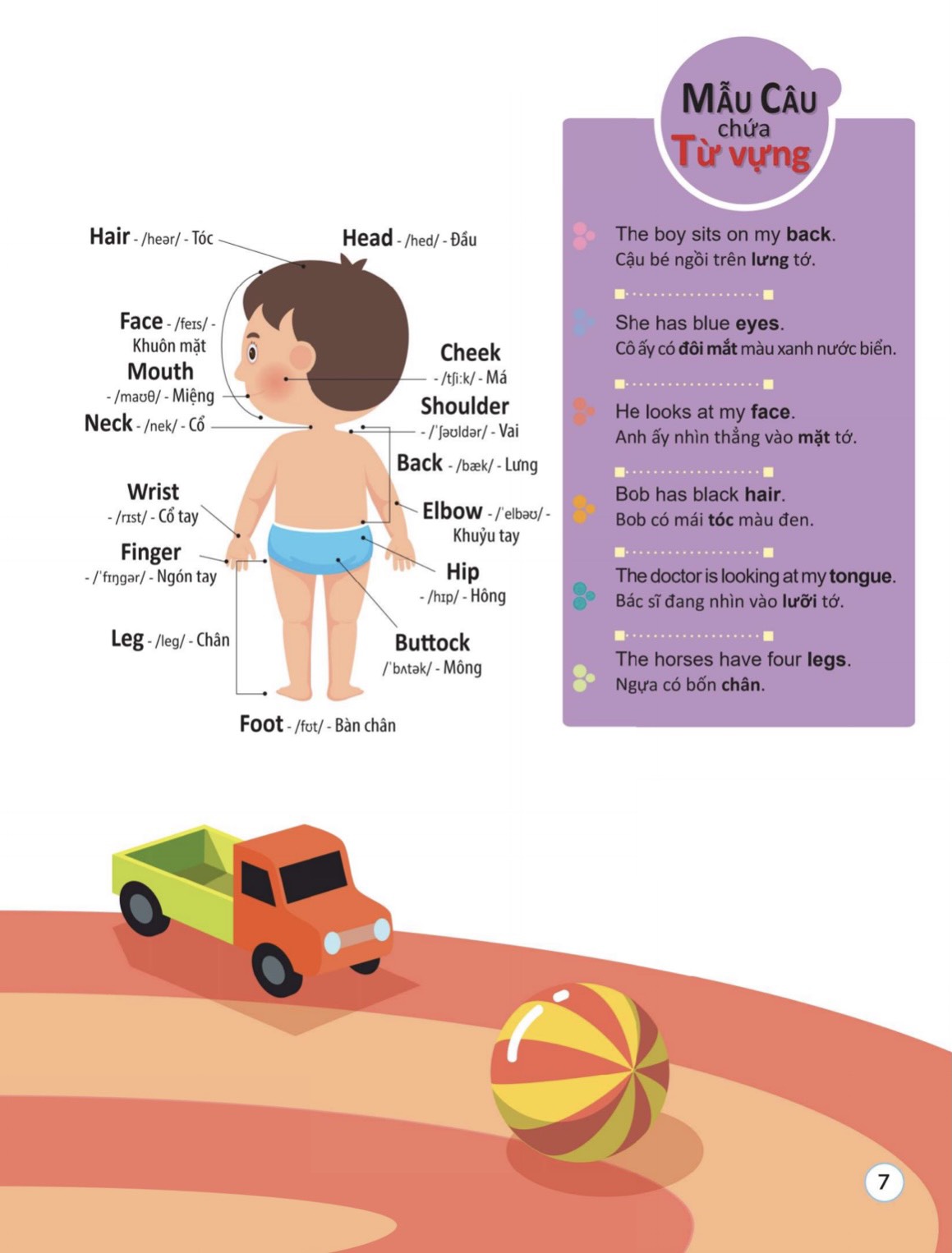 4000 từ vựng và mẫu câu tiếng anh thiết yếu cho trẻ em - Ảnh 7