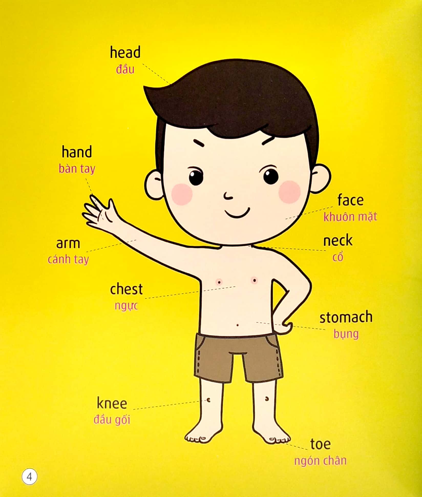 5 phút mỗi ngày - bộ sách tiếng anh đầu tiên cha mẹ dạy bé - tự nhận thức (tái bản 2022) - Ảnh 4