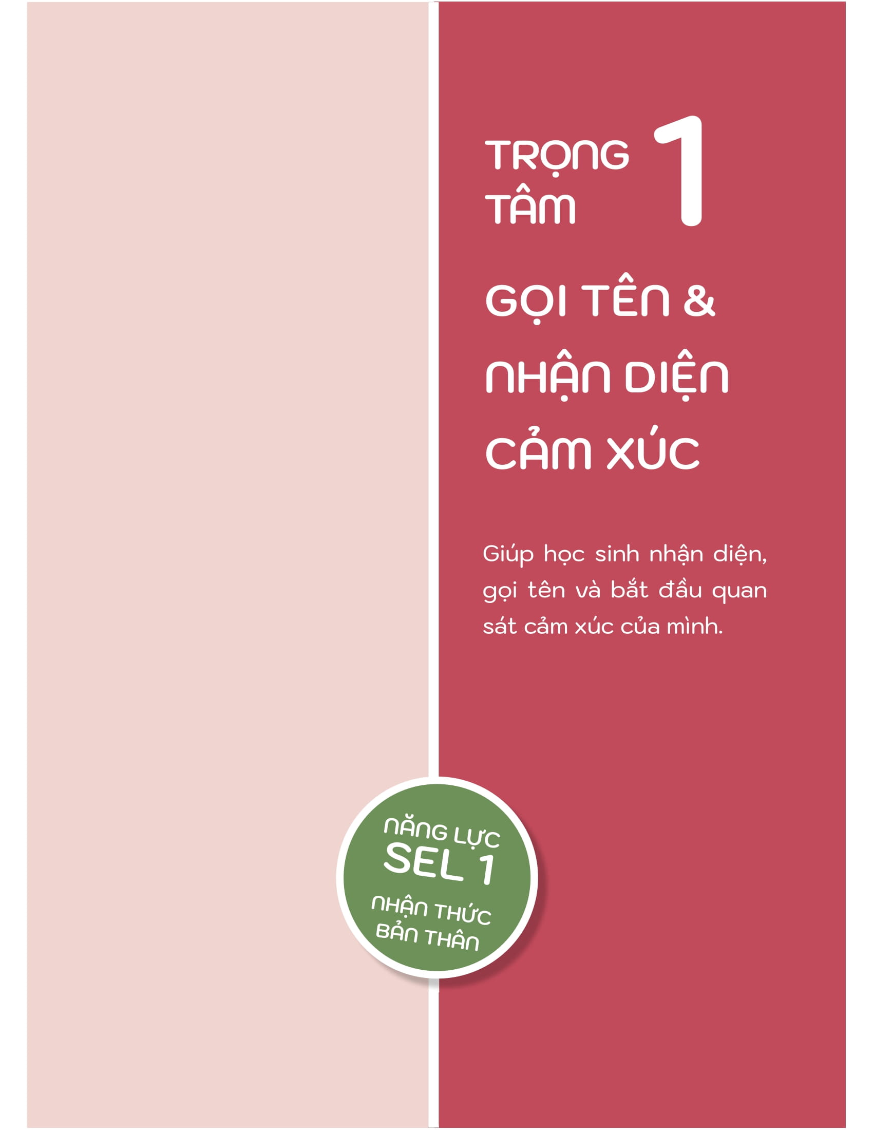 50+ Hoạt Động Phát Triển Năng Lực Cảm Xúc-Xã Hội - Ảnh 11