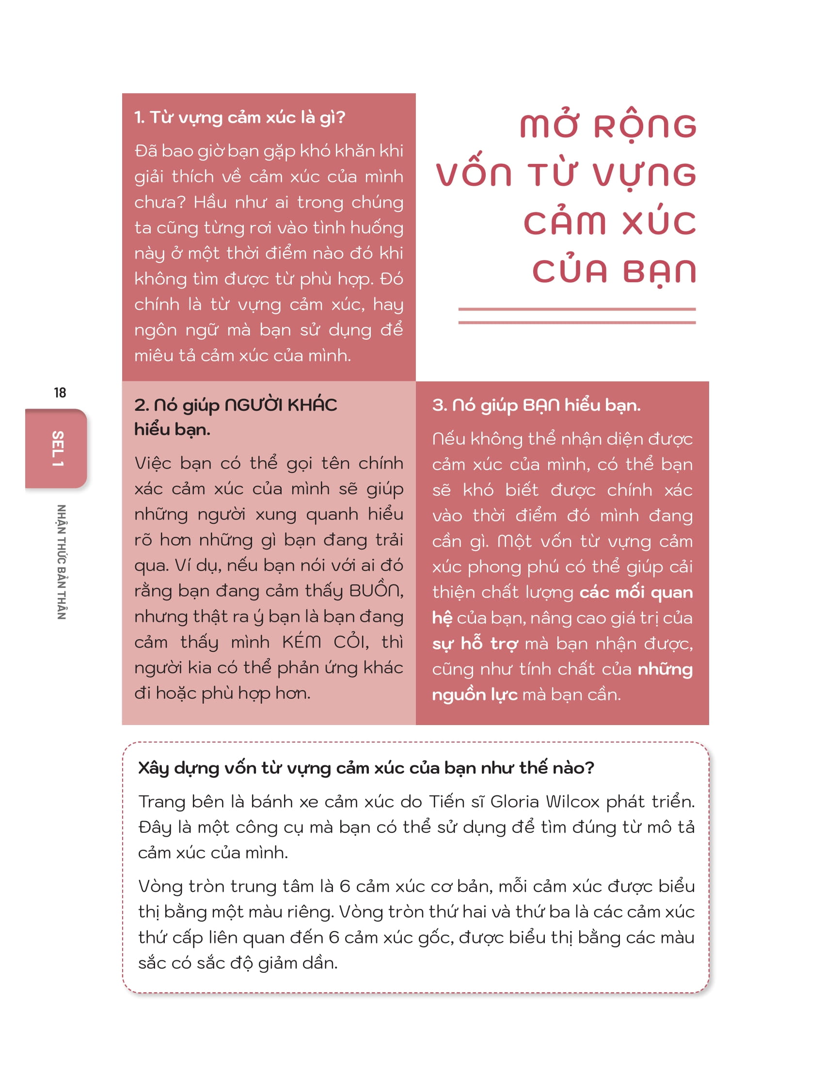 50+ Hoạt Động Phát Triển Năng Lực Cảm Xúc-Xã Hội - Ảnh 12