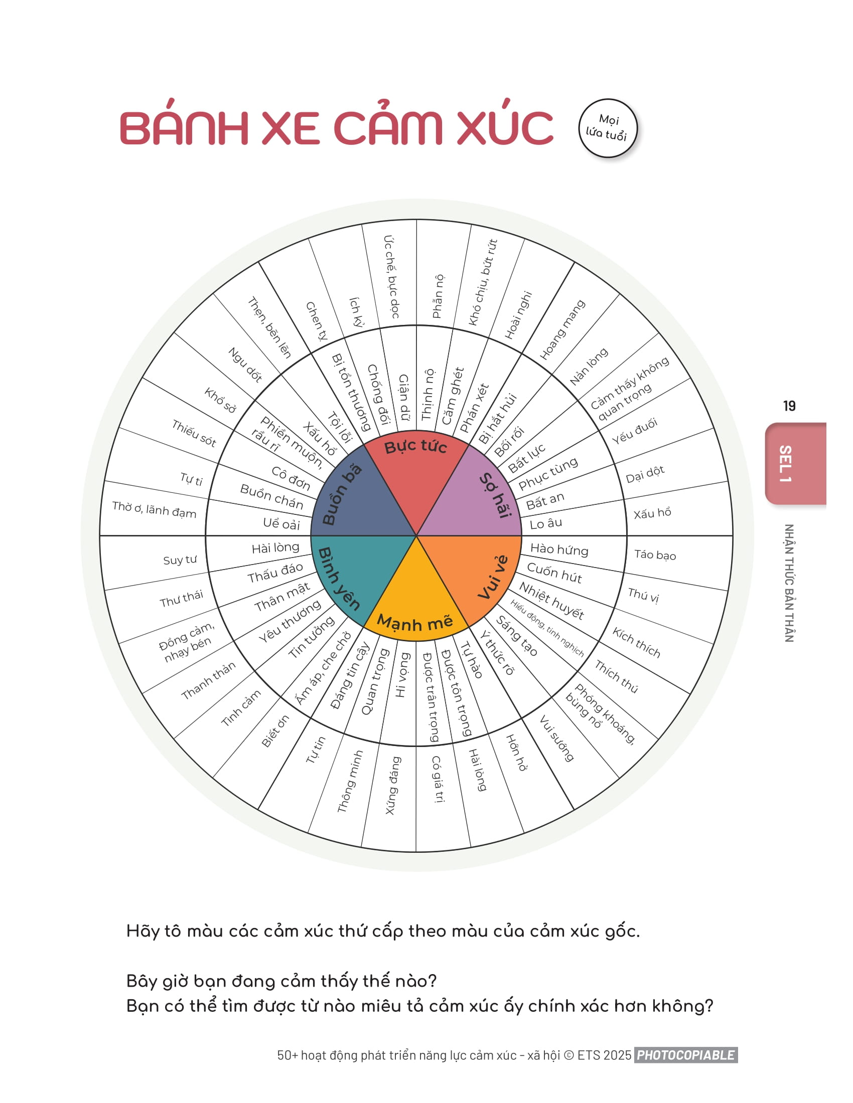 50+ Hoạt Động Phát Triển Năng Lực Cảm Xúc-Xã Hội - Ảnh 13