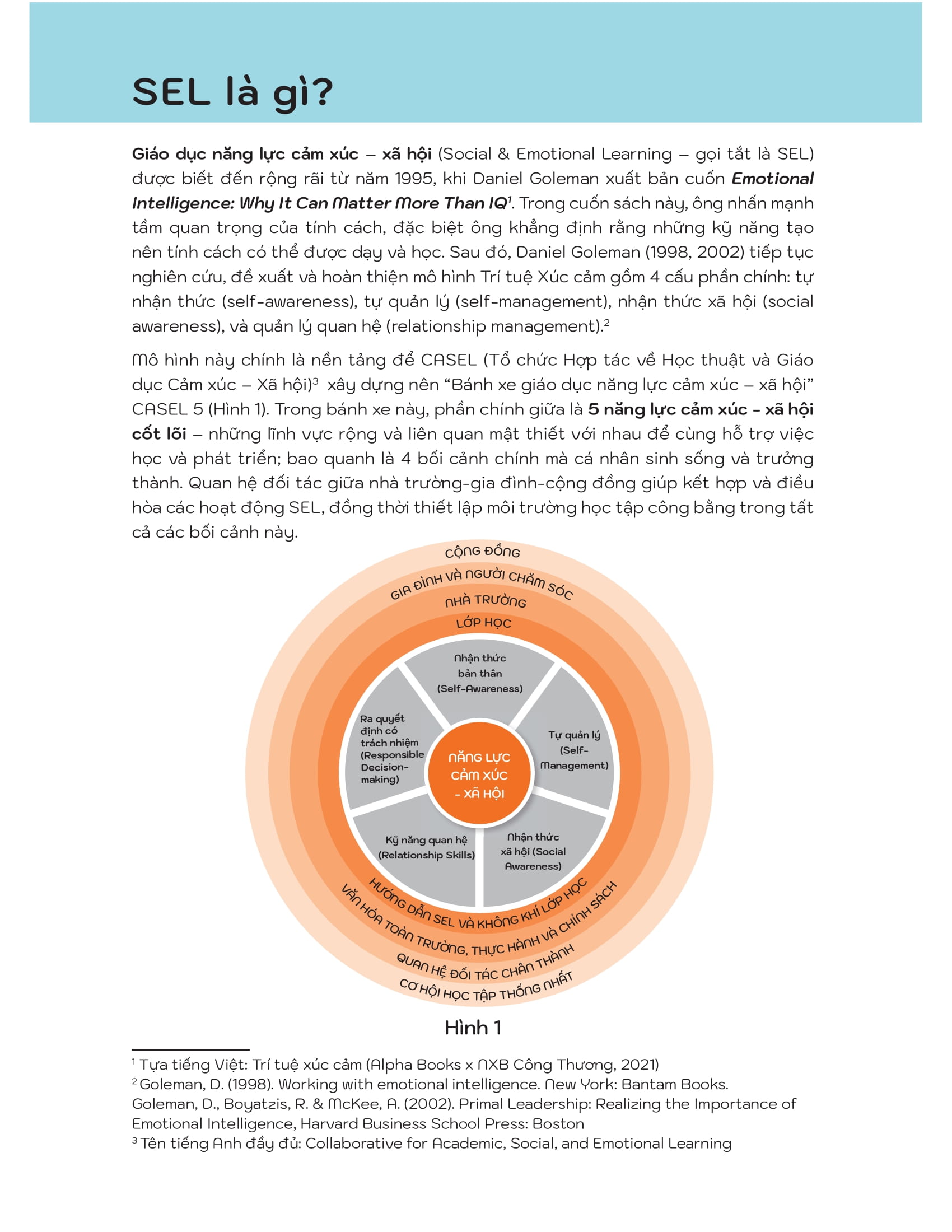 50+ Hoạt Động Phát Triển Năng Lực Cảm Xúc-Xã Hội - Ảnh 8