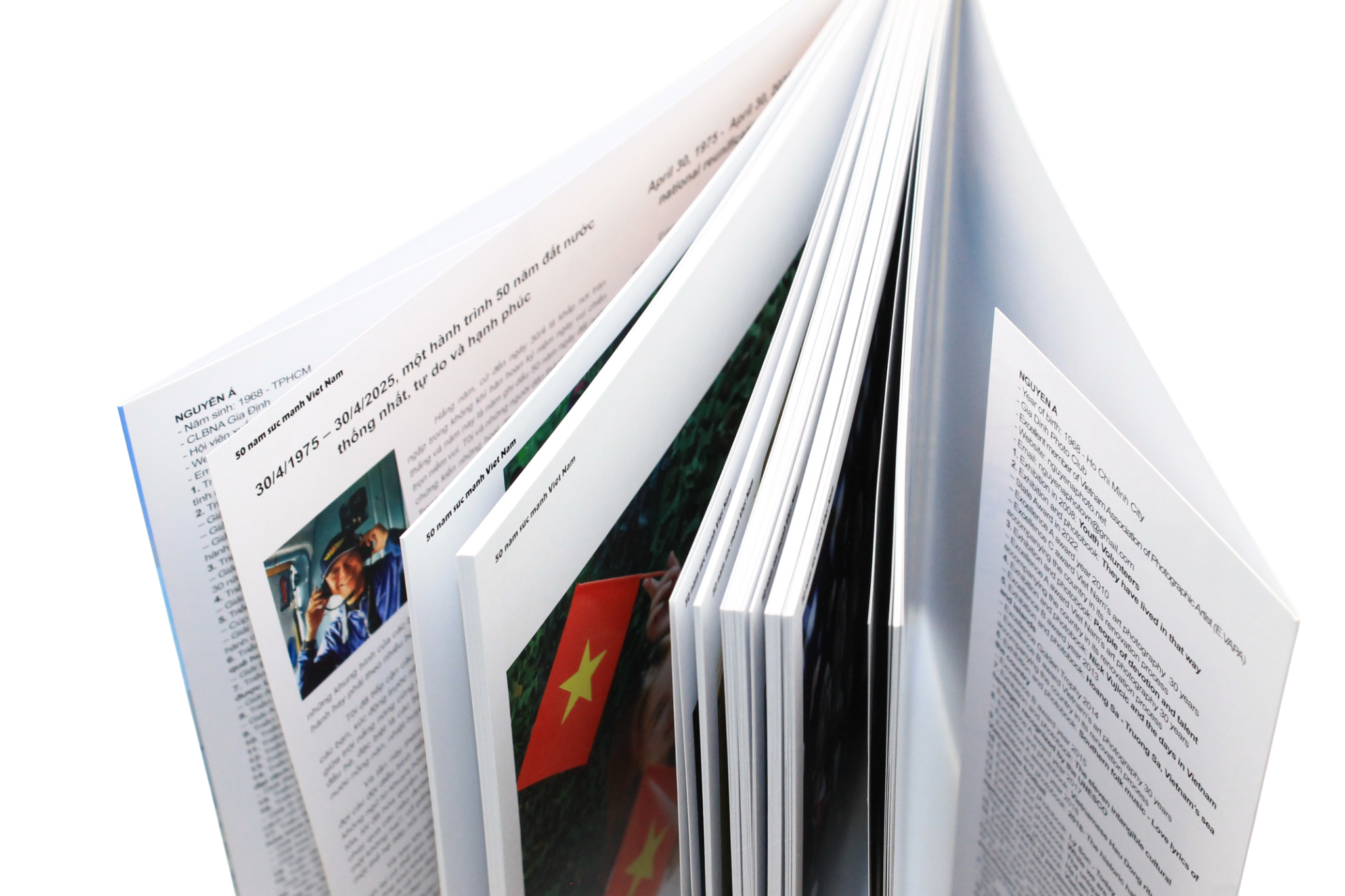 50 Năm Sức Mạnh Việt Nam - Ảnh 5