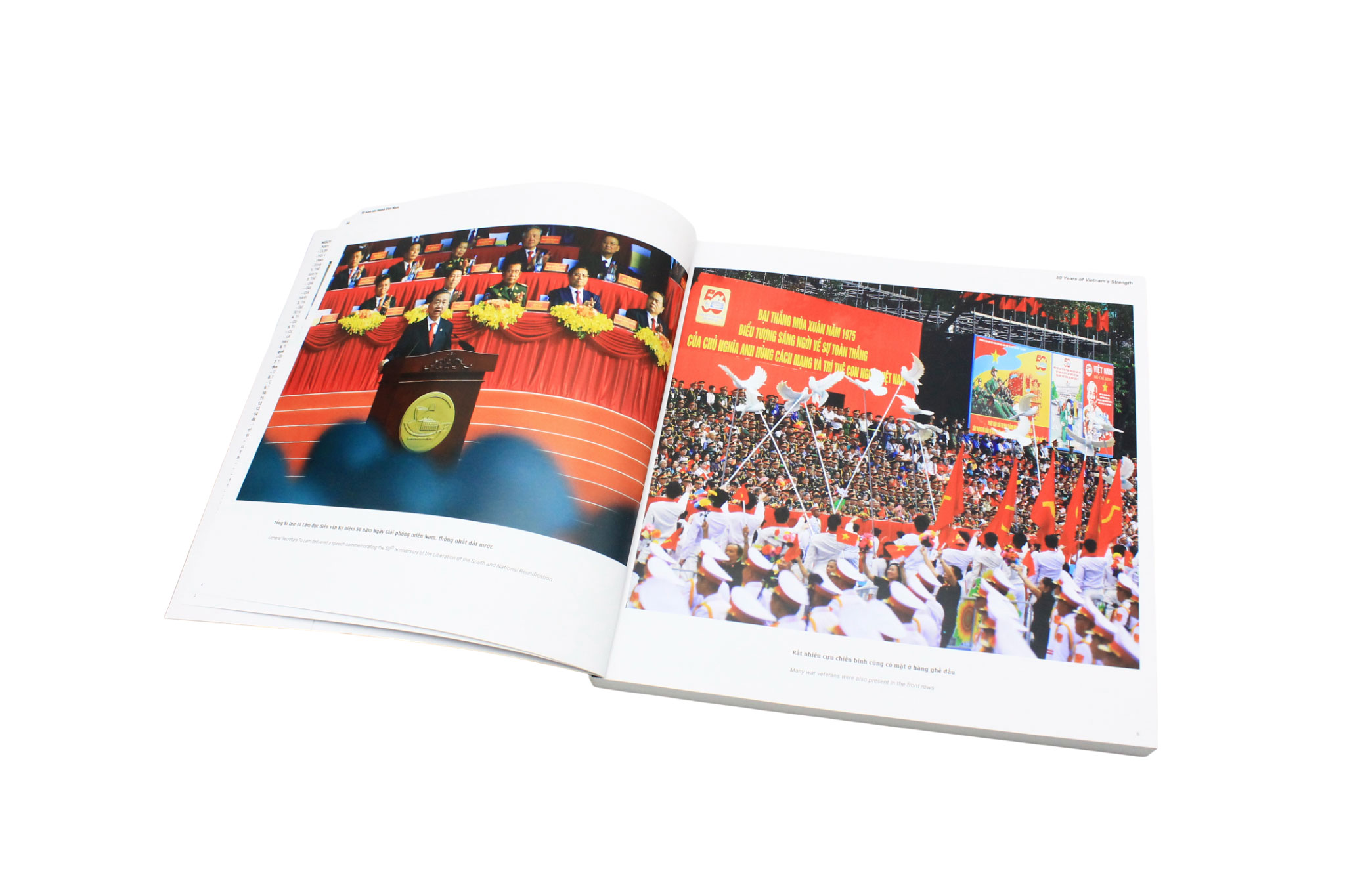 50 Năm Sức Mạnh Việt Nam - Ảnh 7