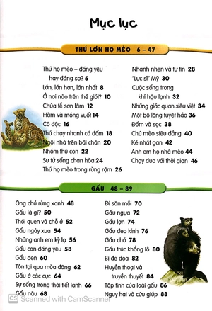 500 dữ kiện khoa học về động vật ăn thịt - Ảnh 3