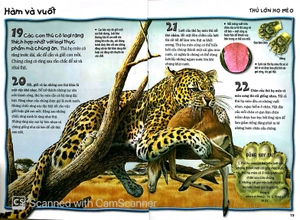 500 dữ kiện khoa học về động vật ăn thịt - Ảnh 8