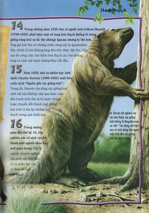 500 dữ kiện khoa học về thế giới tuyệt chủng - Ảnh 10